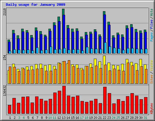 Daily usage for January 2009